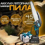 Пила цепная аккумуляторная шина 12' Li-ion аккумулятор, 2 шт - Изображение 1