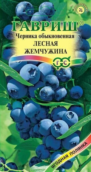 Гавриш Черника обыкновенная Лесная жемчужина 30 шт.