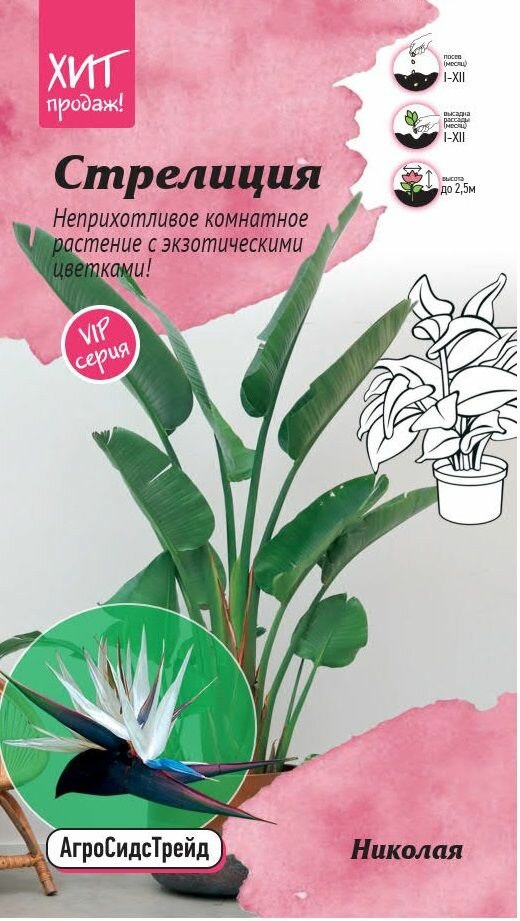 Стрелиция Николая 3шт АСТ