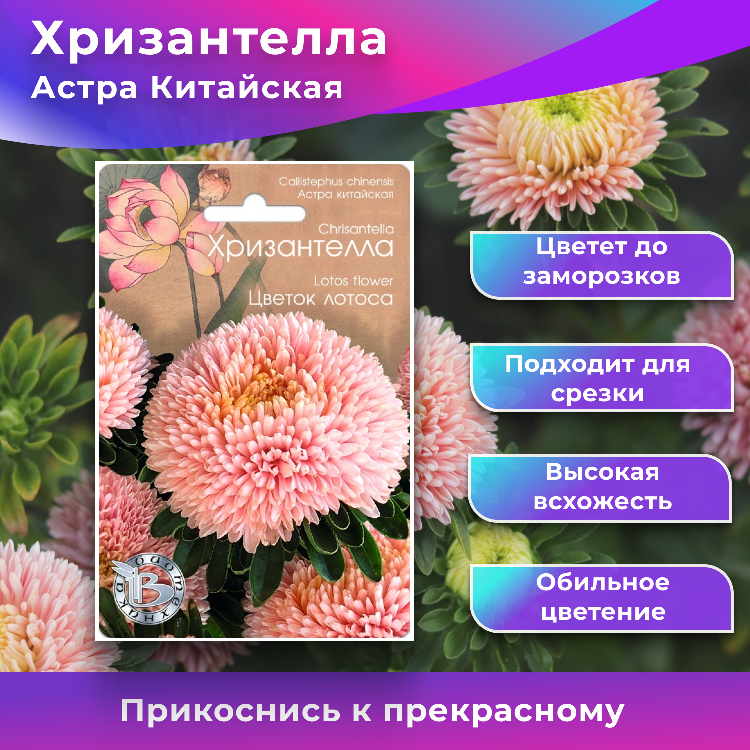 Семена хризантеллы Биотехника "Цветок лотоса"