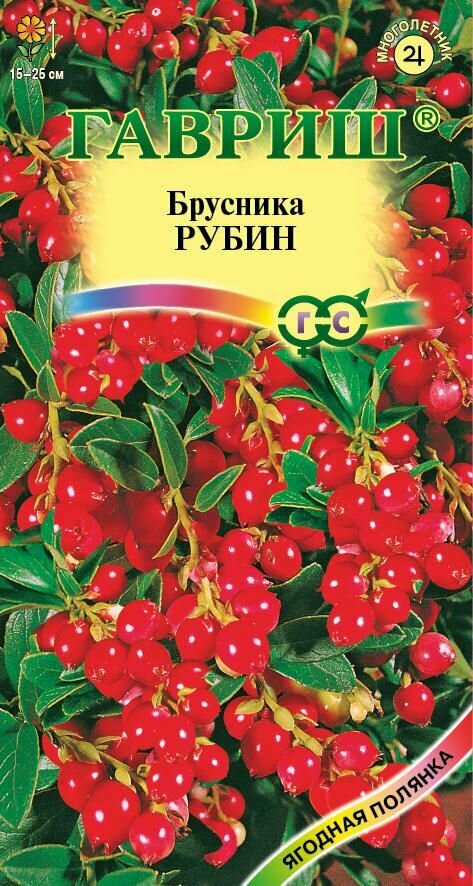 Брусника Рубин
