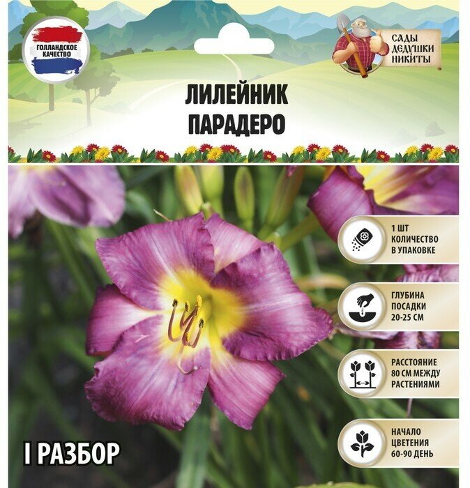 Сады Дедушки Никиты Лилейник "Paradero", р-р I, 1 шт, Весна 2023