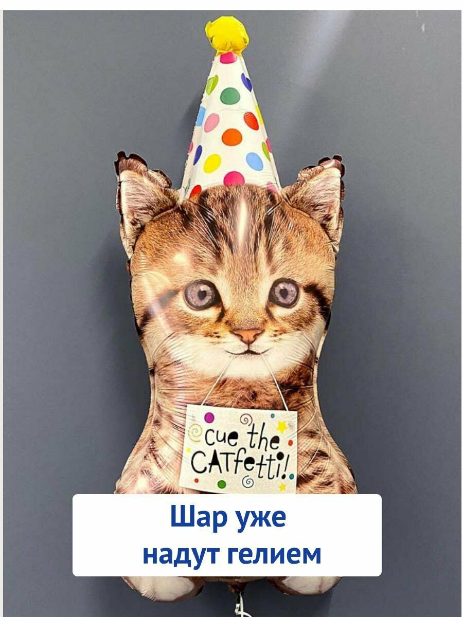 Grabo Balloons Воздушный фольгированный шар с гелием, шары на день рождения, котенок в колпачке 1шт