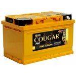 Аккумулятор автомобильный Cougar Power 60 А/ч 560 A обр. пол. Евро авто (242x175x190) - Изображение 4