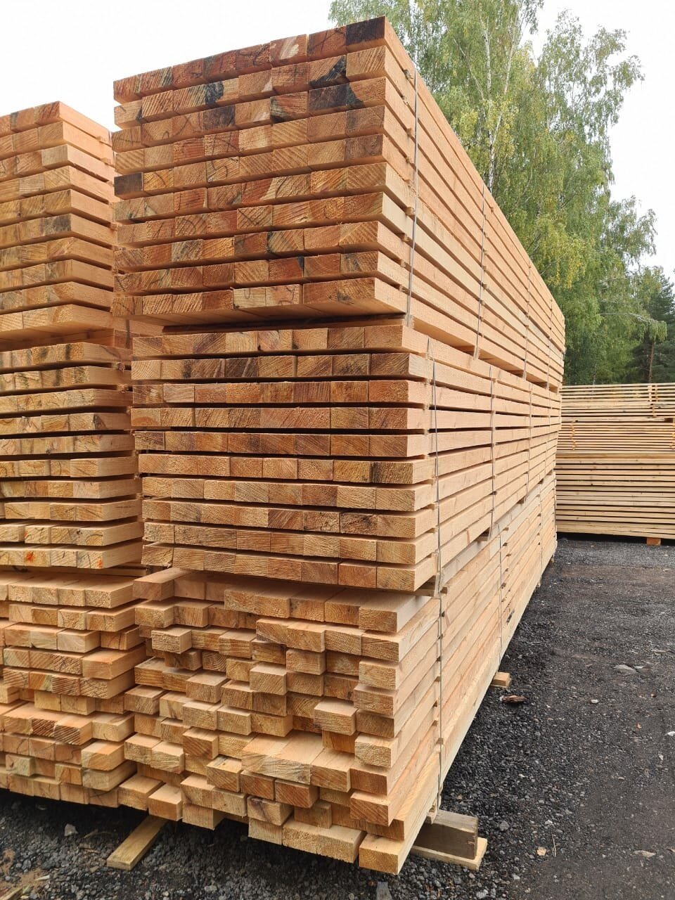 Брусок обрезной (arsenal-wood) 50*50*6000мм