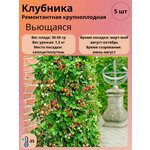 Гавриш Газон Изумрудный ковер 0,6 кг - Изображение 1
