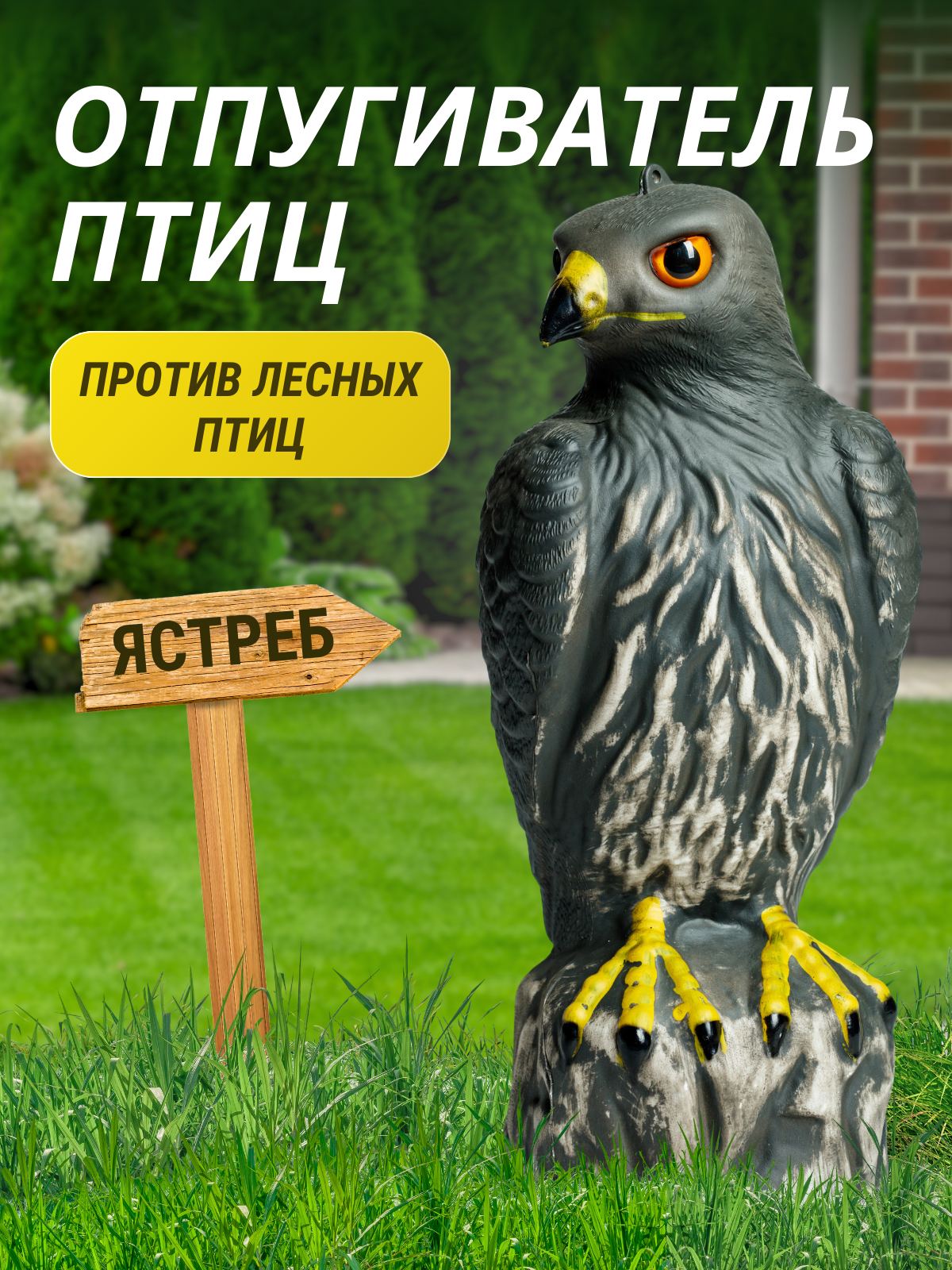 Коршун Отпугиватель птиц Орел