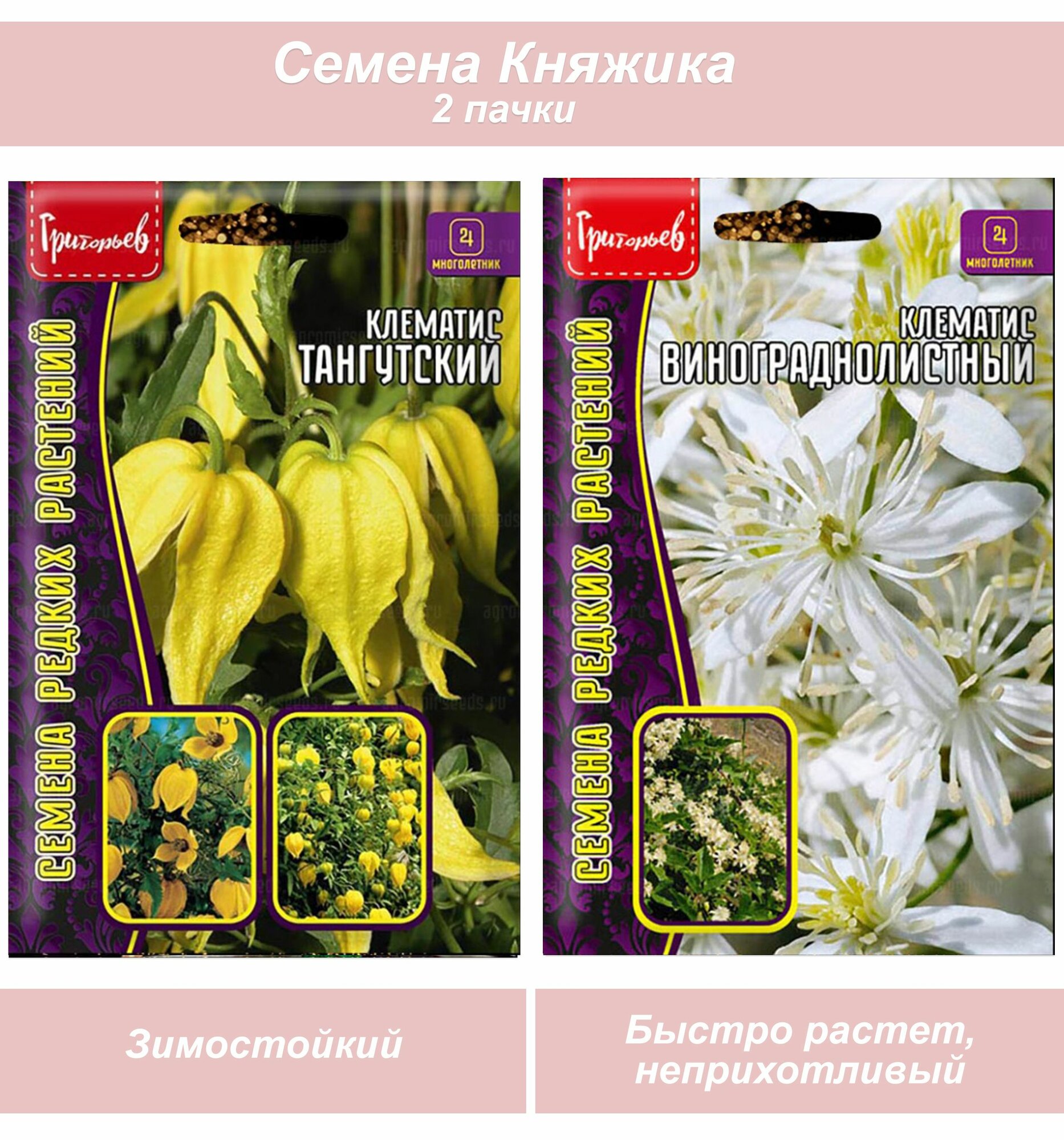 Семена многолетних цветов Княжик Клематис