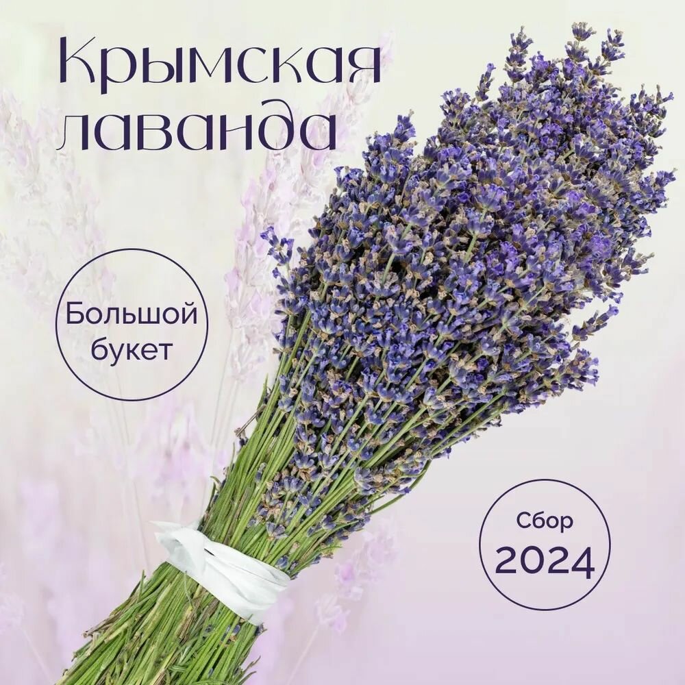 Сухоцветы для декора Букет лаванды - Травы Горного Крыма 2024