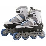 Раздвижные роликовые коньки Alpha Caprice Bell Violet размер L (39-42) - Изображение 1