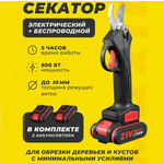 Секатор садовый / Сучкорез, для деревьев, для кустов - Изображение 3