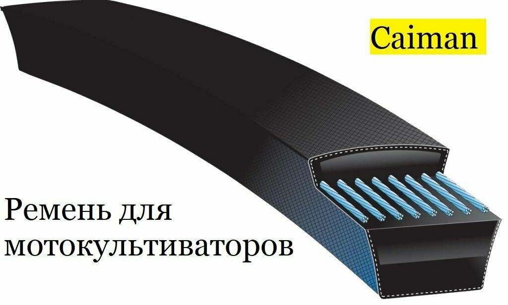 HIMPT Ремень приводной мотокультиватора CAIMAN ELITE 60S D2, 0306030002