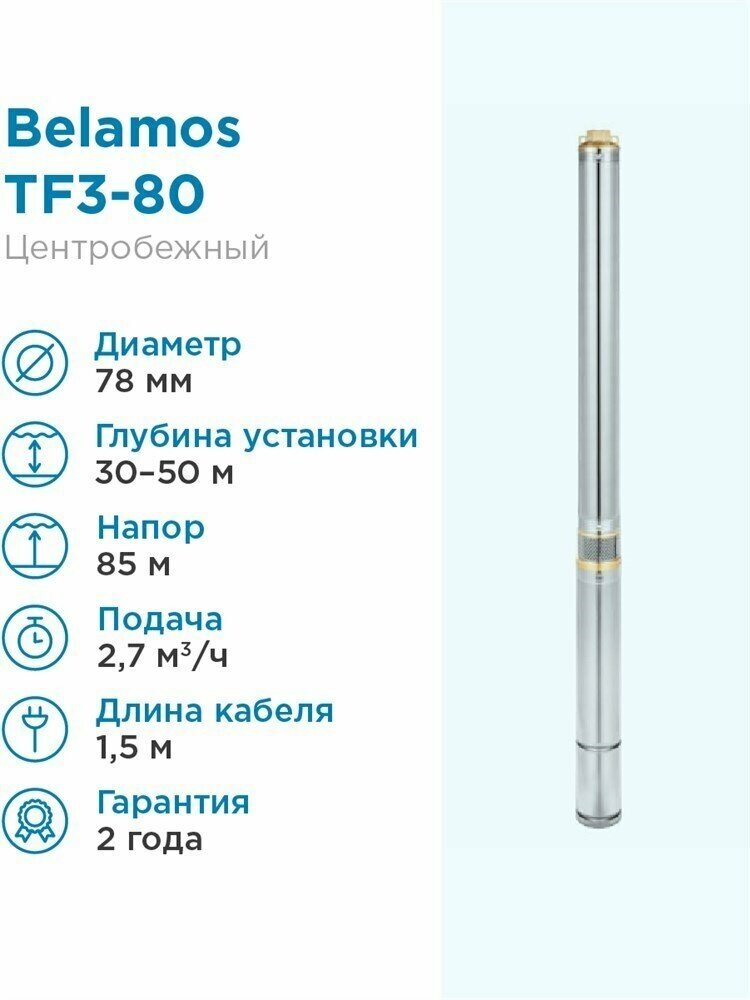 Погружной скважинный насос BELAMOS TF3-80 (кабель 1.5 м) (1000 Вт)