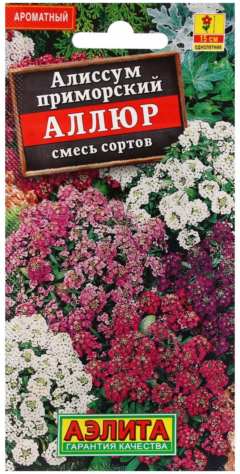 Семена Агрофирма АЭЛИТА Алиссум Аллюр смесь, 0.1 г