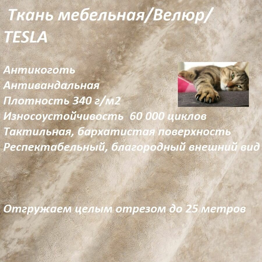 Ткань мебельная 100KOVROV антикоготь Велюр TESLA_09 хаки
