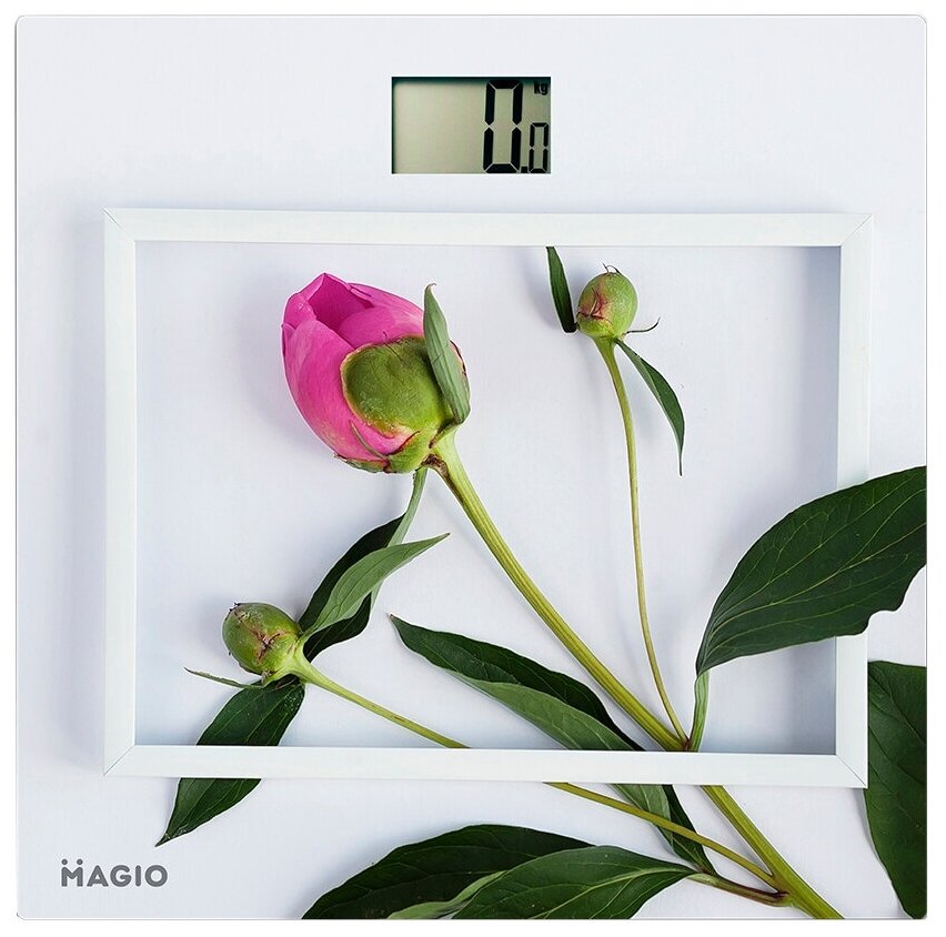 Весы электронные Magio МG-813