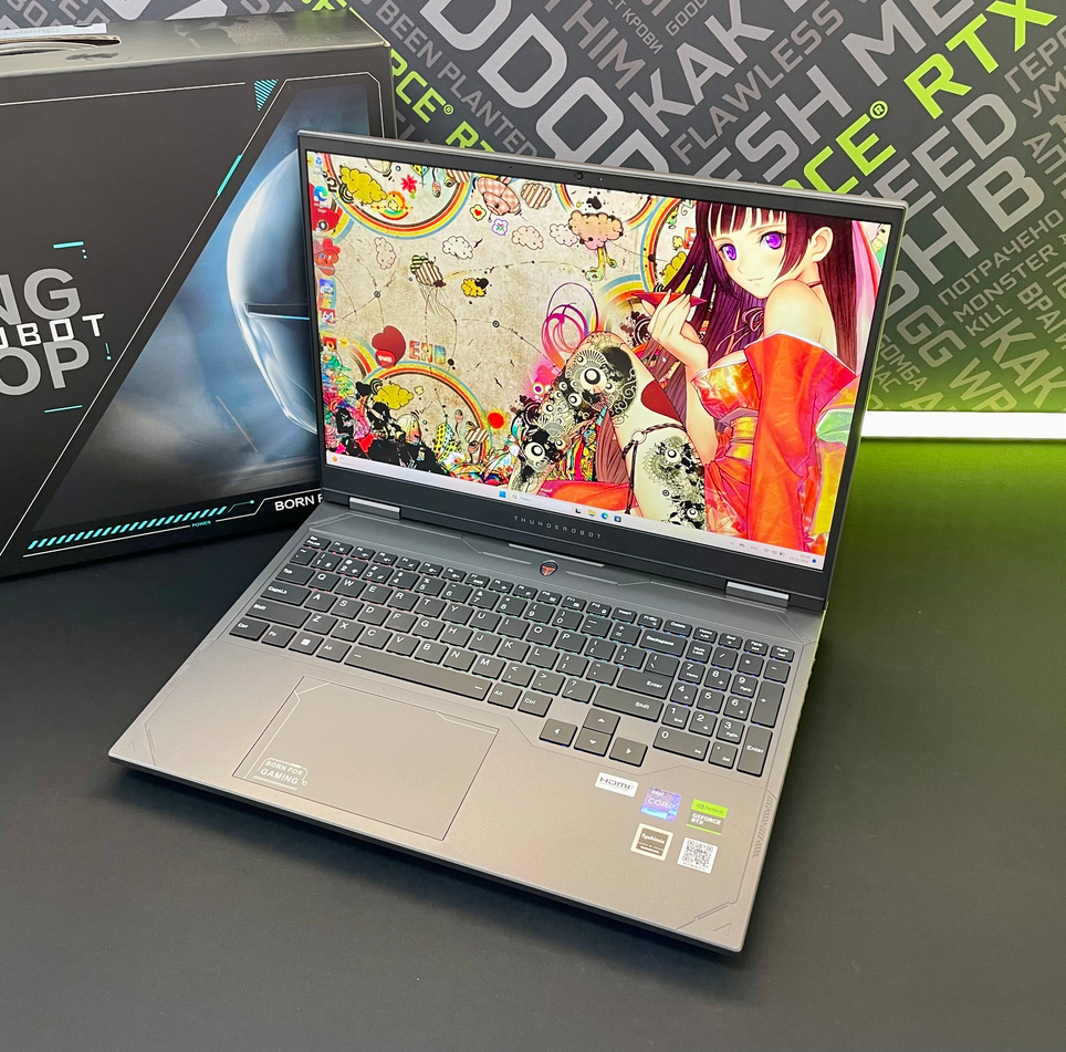 Игровой ноутбук Thunderobot R16 16 Core i9-14900HX 24 ядер Nvidia GeForce RTX 4060 16 GB DDR5 1024 GB SSD M.2 IPS 240Hz Серый Windows 11