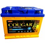 Аккумулятор автомобильный Cougar Power 60 А/ч 560 A обр. пол. Евро авто (242x175x190) - Изображение 3
