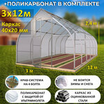 TEPLITSA-RUS Теплица Каплевидная (Поликарбонат в комплекте), ширина 3 метра, оцинкованный каркас 40х20 мм - Стрелецкая Люкс - Изображение 1