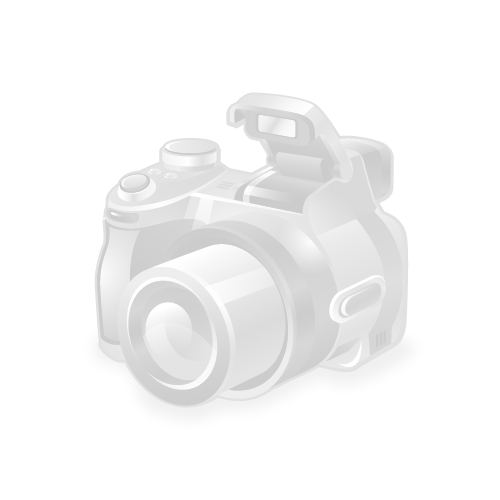 Ответная часть нижнего замка задней двери, LEX ZD6286 (1 шт.)