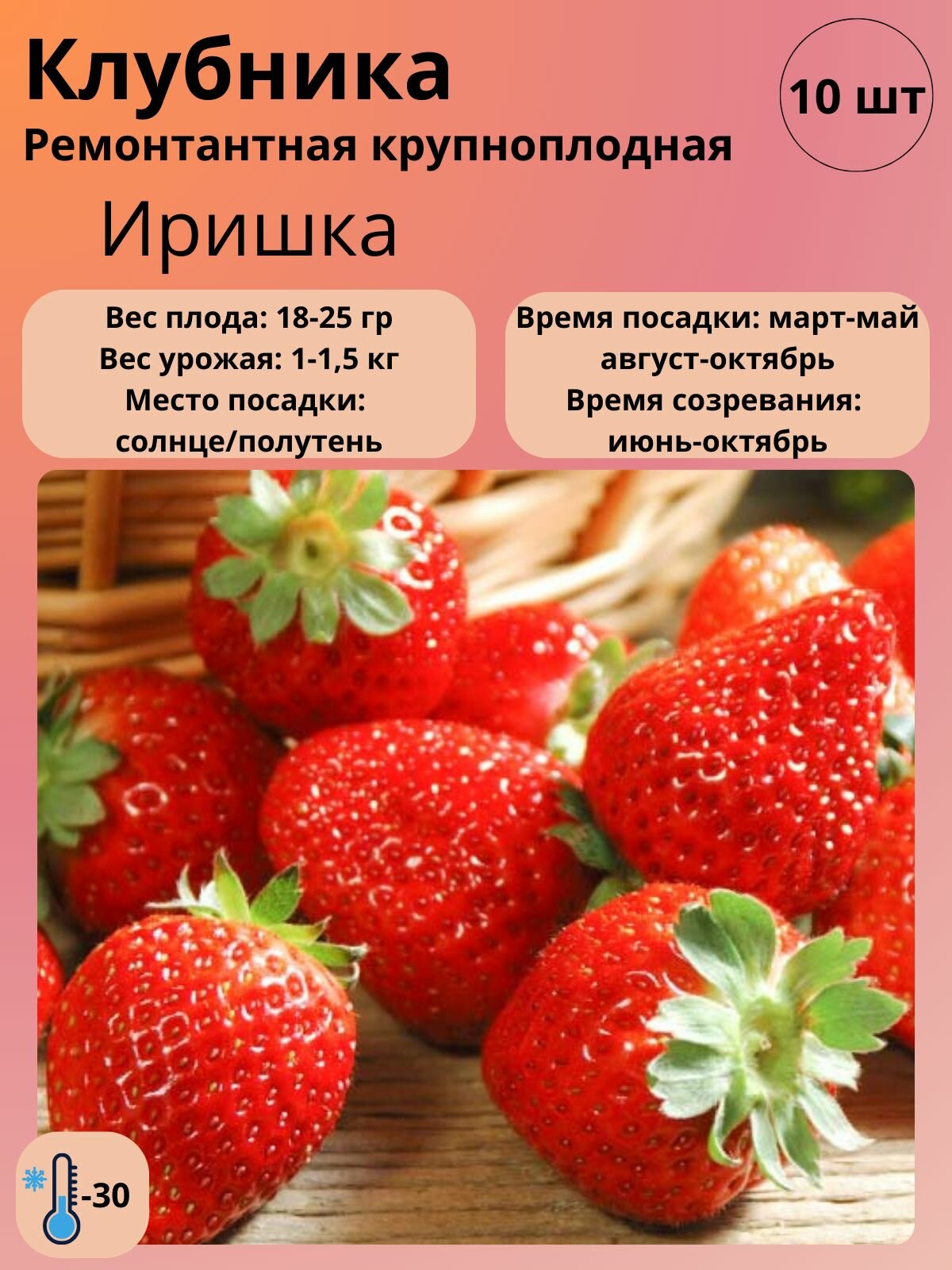 Клубника ремонтантная крупноплодная, рассада саженцы 10 шт