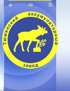 TYUMEN BATTERY TNS75.1 Аккумулятор Тюмень STANDARD 75Ач EN660 278х175х190