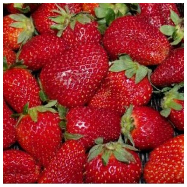 AGROVIDA Саженец Земляника садовая Фестивальная (5шт)
