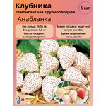 Гавриш Газон Изумрудный ковер 0,6 кг - Изображение 2