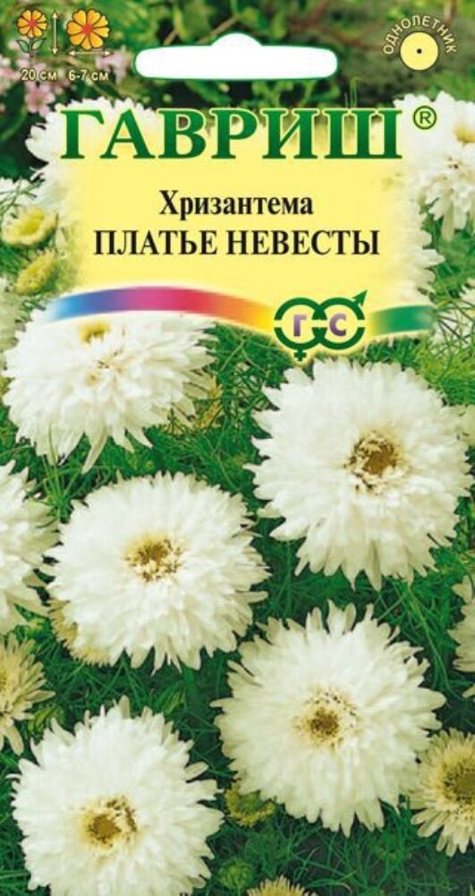Хризантема Платье Невесты непахучая 0,1г Одн 20см (Гавриш)