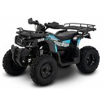 Мопед VMC VENTO RIVA II Classic 110 куб. см.(49cc) черный - Изображение 5