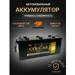 Аккумулятор автомобильный Cougar Power 60 А/ч 560 A обр. пол. Евро авто (242x175x190) - Изображение 2