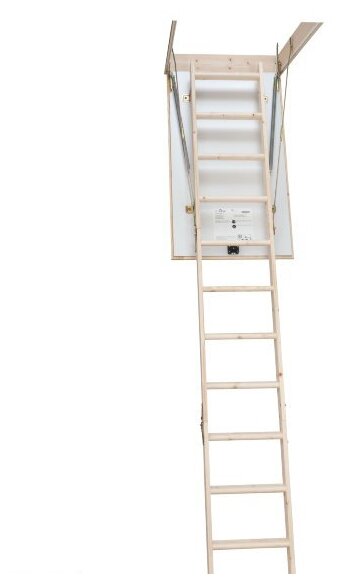 Вишера Лестница чердачная Prof 36 120x60 см