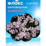 Набор микрозелени Горох овощной 60гр - Изображение 3