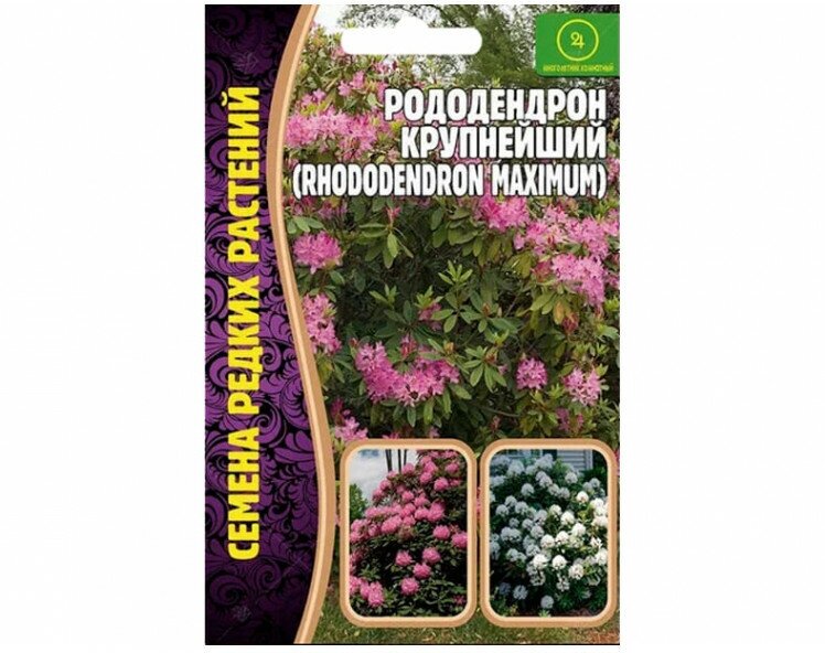 Григорьев А.Ю. Семена Рододендрона крупнейшего (Rhododendron maximum) (0,01 г)