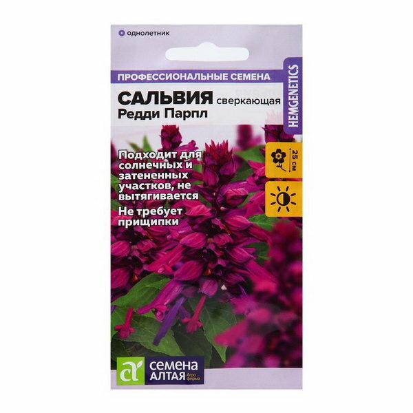 Алтая Семена цветов Сальвия "Редди Парпл", сверкающая, Сем. Алт, ц/п, 5 шт, 4 шт.